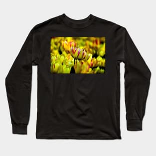 tulips Long Sleeve T-Shirt